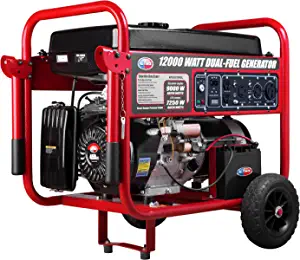 All Power America APGG12000GL 12000 Watt Dual Fuel Portable Generator