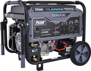 Pulsar G12KBN-SG Heavy-duty Dual Power Generator